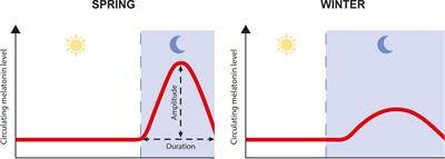 Effects of Melatonin on Anterior Pituitary Plasticity: A Comparison Between Mammals and Teleosts